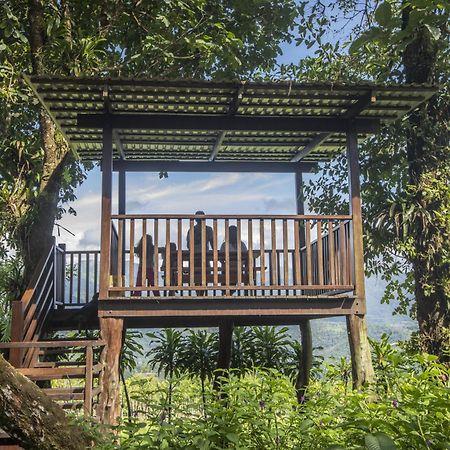 "Hana'S Celeste Retreat" Large Modern Villa Sleeps 6 On 20 Acres Of Nature! Bijagua Dış mekan fotoğraf